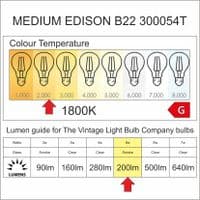 Globe Medium LED B22 Spiral Smoke Bulk Discount