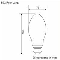 Pear Large Spiral B22 - Bulk Discount