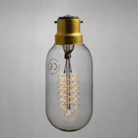 Vintage filament edison light bulb