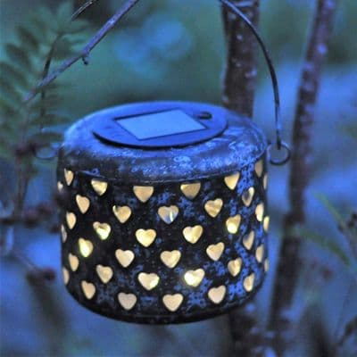 Solar Lantern - Durgesh