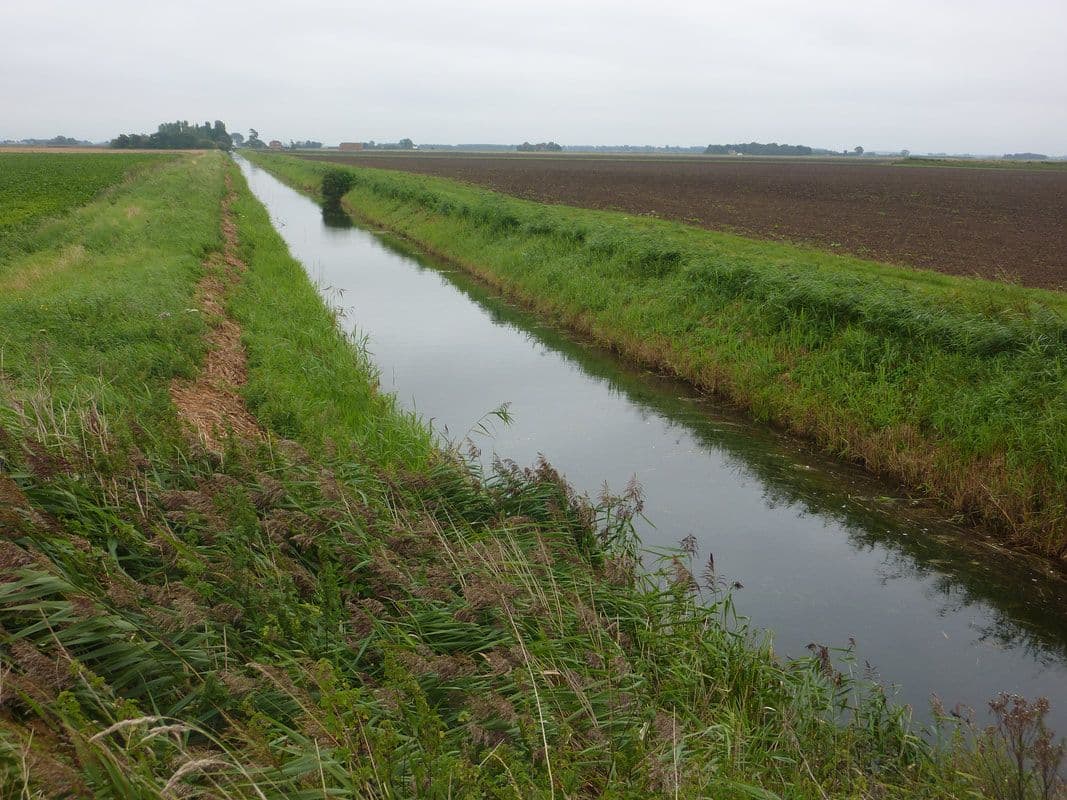 Ditching the Fens