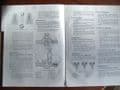 David Brown Tractor Diesel Engine AD4/25 & CAD4/30 Series Service, Maintenance & Repair Manual