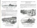 Minneapolis Tractor Brochure - Moline Power