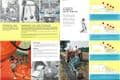 Nuffield Tractor 10/42 & 10/60 Brochure