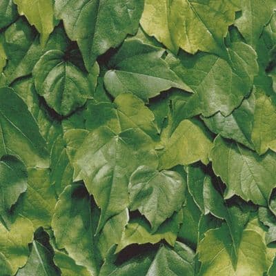 45cm wide Leaf Print Sticky Vinyl (280-3170) Available in lengths from 1 to 15m