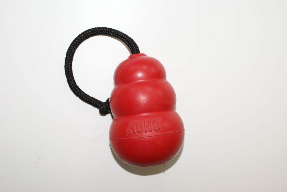 Classic Kong on Rope - Large