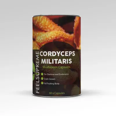 Cordyceps Militaris (capsules)