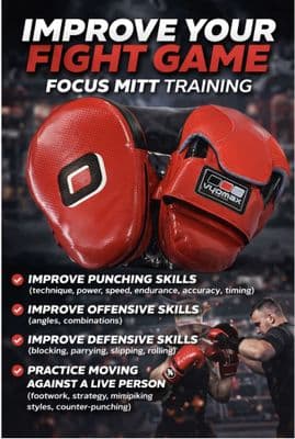 FOCUS MITTS (PAIR)