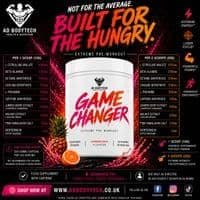 GAME CHANGER PRE-WORKOUT 600GMS