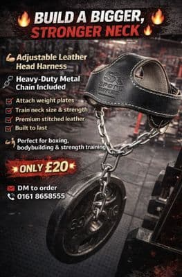 LEATHER HEAD HARNESS WITH CHAIN