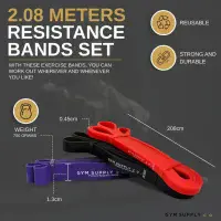 Premium Resistance Bands
