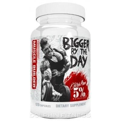 Rich Piana 5% Bigger By The Day - Muscle Builder