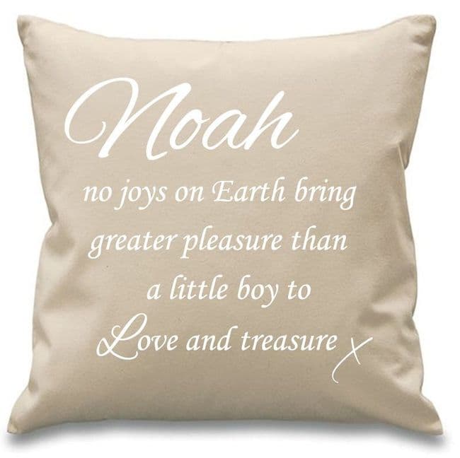 Boys No Joys On Earth - Personalised Cushion Cover