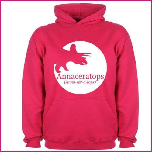 Personalised Childrens Dinosaur Name Hoodie - Triceratops