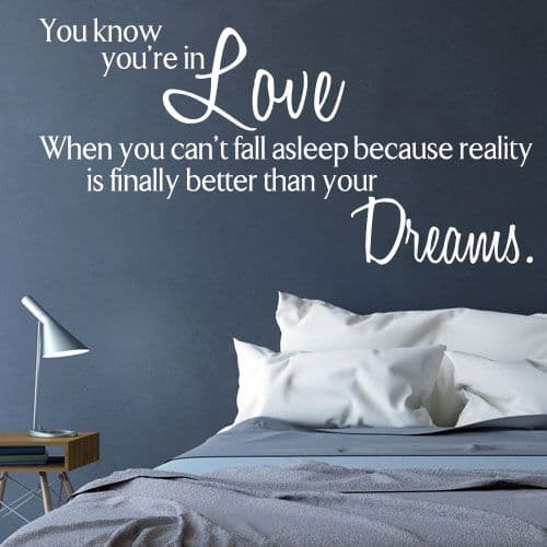 You Know You're in Love When you can't fall Asleep ~ Wall sticker / decals (1)