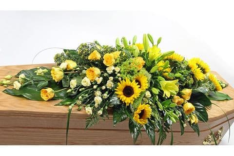 Yellow Coffin Spray
