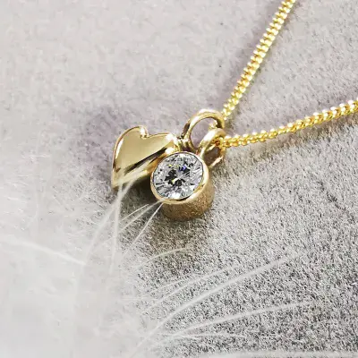 4mm Diamond 9ct Gold Heart Memorial Pendant Ash/Hair-HIDDEN