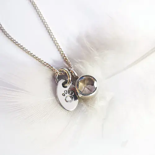 5mm Gemstone And Ash/Hair Paw Memorial Pendant