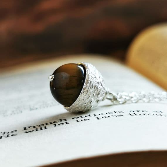 Acorn Collection   - Donating to The World Land Trust 2023