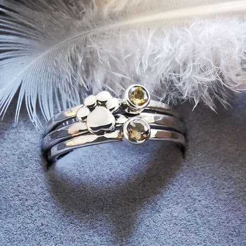 Double 3mm Gemstone And  Hidden Ash/Hair Paw Memorial Stacking Ring
