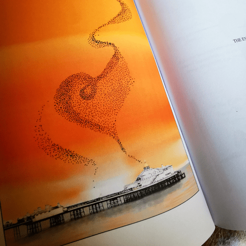 When Seagull Found His True Self FREE PDF Download