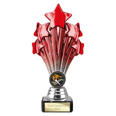 50% Discount -Nickel Plate Trophy Cup Presentation Award -A4-A5 - View #4
