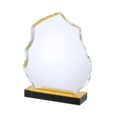 Acrylic Award with Yellow Gold Effect