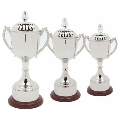 Adventurer Heavy Duty Nickel Cup with lid