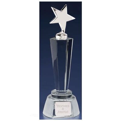 Agility Star Crystal Award 260mm