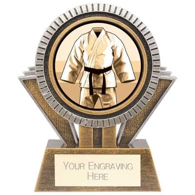 Apex Martial Arts Award Gold & Silver