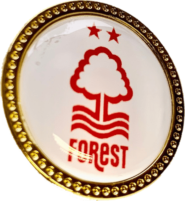 Bespoke Heavyweight Metal Lapel Badges incl 25mm domed centre disc : 50 pcs