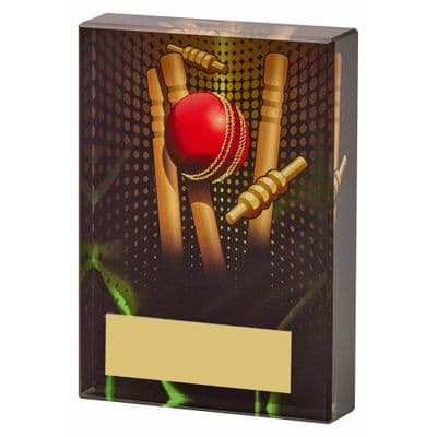 Black/Gold Glass Cricket Award