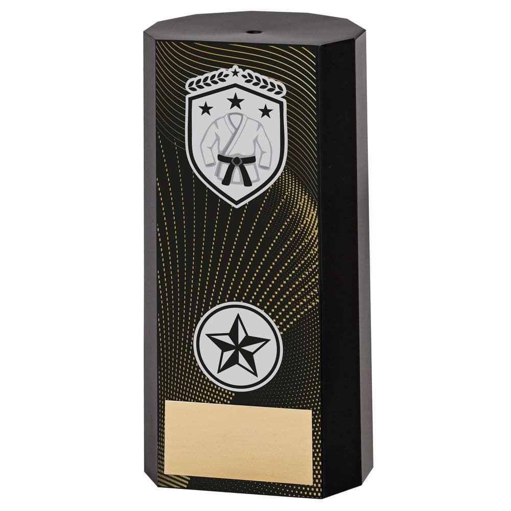 Black Heavyweight Fortress Martial Arts Award