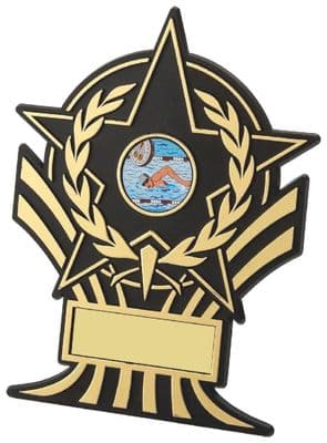 Black Plastic Star Plaque