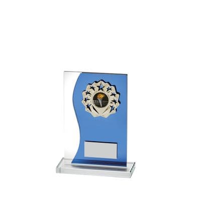 Blue Wave Silver Star Multisport Award