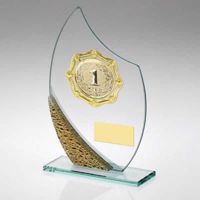 Captain Gold Trim Glass Award