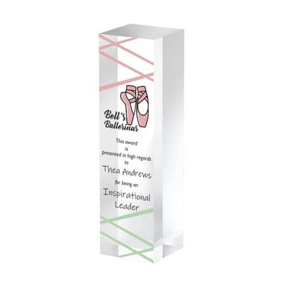 Clear Acrylic Block Award 220x60mm