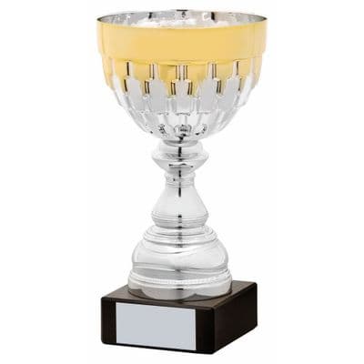 Contrast Silver/Gold Trophy Cup
