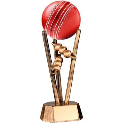 Cricket Ball Holder 165mm