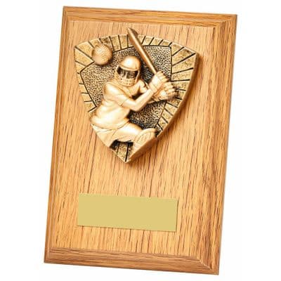 Cricket Batsman Wood Plaque