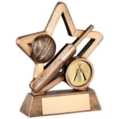 Cricket Mini Star Award