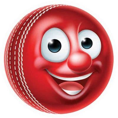 Cricket Smiley Flat Centre 5pcs
