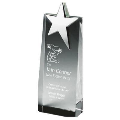 Crystal Glass Wedge Rising Star Award