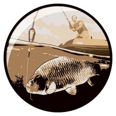 Domed Fishing Centre Gold 25mm - 10pcs