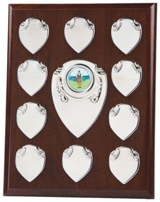 Economy Annual Record Shield