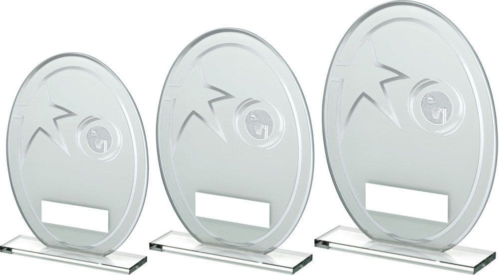 Elliptical Printed Glass with Netball Insert
