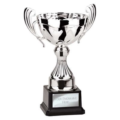 Endeavour Cup Silver