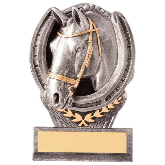 Falcon Equestrian Award 105mm (4.1