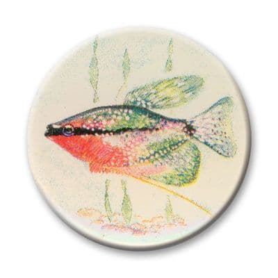 Fish Tropical Vinyl 25mm Flat Centre - 5pcs