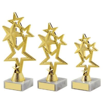 Five Stars Achievement Trophy